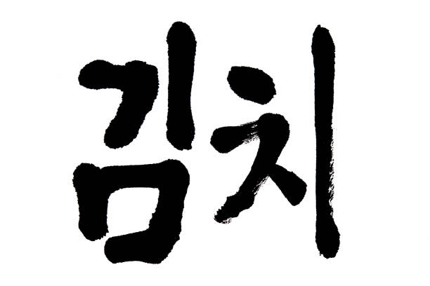 illustrations, cliparts, dessins animés et icônes de traduction de texte coréen kimchi - écriture coréenne