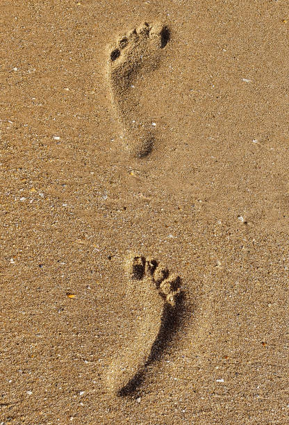 istock Footprints left in the sand on the beach by a person 1335533335
