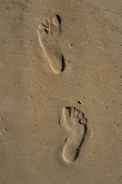 istock Footprints left in the sand on the beach by a person 1335533339