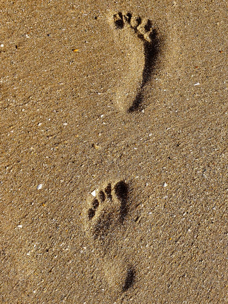 istock Footprints left in the sand on the beach by a person 1335533344