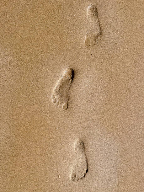 istock Footprints left in the sand on the beach by a person 1335533372