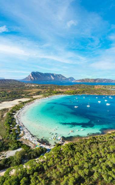 view from above, stunning aerial view of cala brandinchi beach with its beautiful white sand, and crystal clear turquoise water. tavolara island in the distance, sardinia, italy. - beautiful blue sport vertical imagens e fotografias de stock