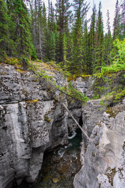 istock The canyon walls 1335540193