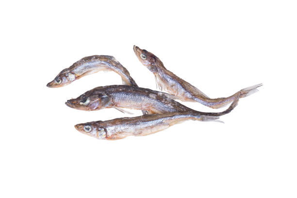 istock Dried salted sea fish isolated on a white 1335543080
