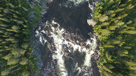 Forested river with rapids taken from above