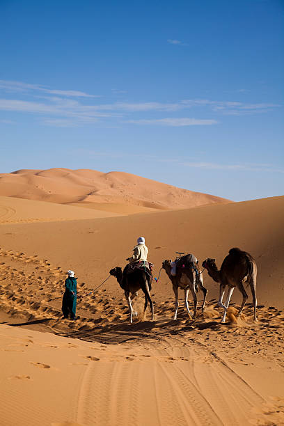 istock Sahara Desert, merzouga 133554417