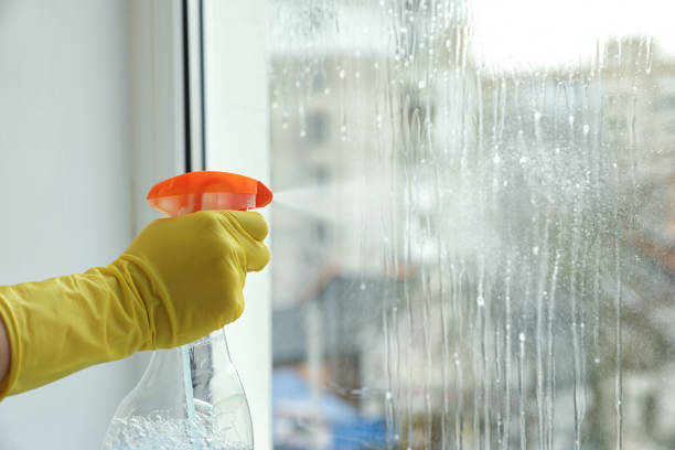 istock Woman cleaning window at home, closeup. Space for text 1335545458