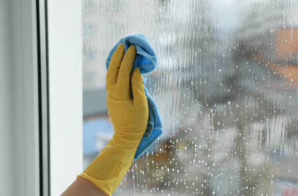 istock Woman cleaning window at home, closeup view 1335545505