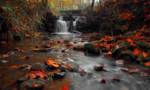 istock Autumn landscape with a mountain waterfall 1335554692