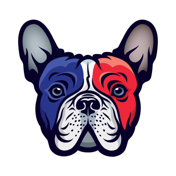Bulldog with french flag colors - vector illustration Bulldog with french flag colors french flag stock illustrations