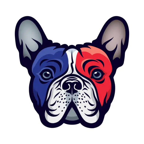 Vector illustration of Bulldog with french flag colors - vector illustration