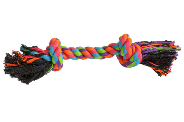 istock A multi-colored toy for dogs, isolated on a white background 1335561758