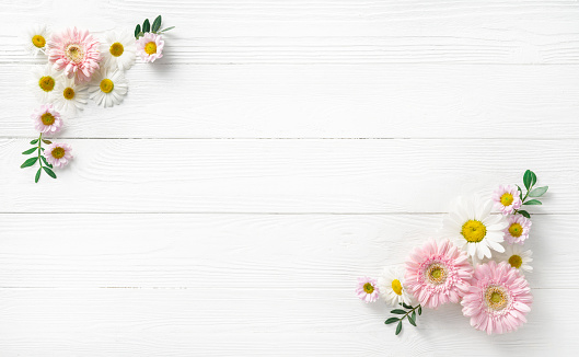Flowers composition. White flowers on white wooden background. Wedding mockup with pink and white flowers. Flat lay, top view, frame. Gerbera, chamomile flowers.