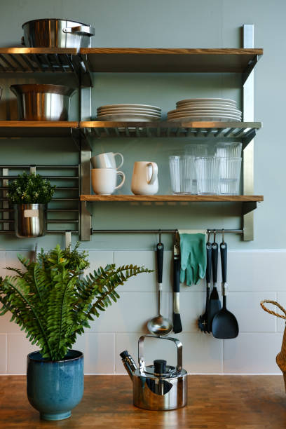 istock modern kitchen interior design with tableware and utensils shelving, kettle and house plant standing on kitchen counter 1335563860