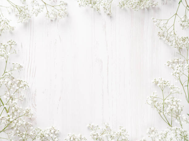 istock Flowers composition. White flowers on white background. Wedding mockup with small flowers. Flat lay, top view, frame. Gypsophila Baby's-breath flowers 1335563911