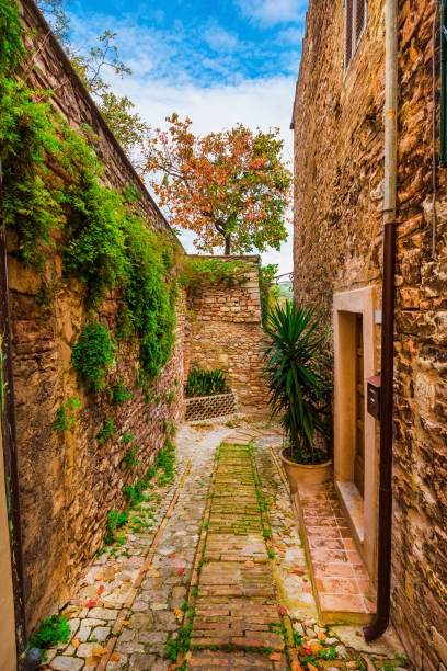 istock Spello historic center alley 1335565120