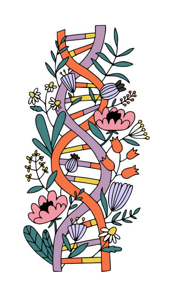 bildbanksillustrationer, clip art samt tecknat material och ikoner med dna spiral with flowers. biotechnology and evolution medicine concept. - flower dna