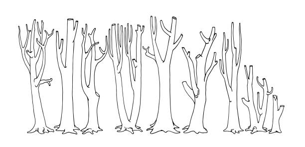 a set of bare tree trunks, dead forest, leafless branches, firewood harvesting, black ink lines a set of bare tree trunks, dead forest, leafless branches, firewood harvesting, vector illustration with contour lines in black ink isolated on a white background in the style of doodle and hand drawn snag tree stock illustrations