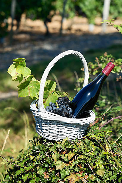 istock bottle of red wine 133557823