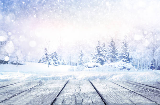 istock Winter Christmas scenic landscape. 1335595067