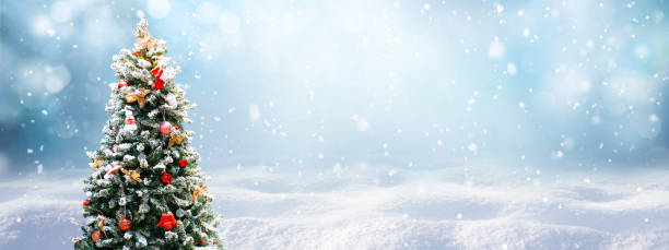 istock Beautiful festive Christmas snowy background. 1335596328