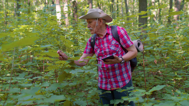 istock Retired senior elderly grandfather adventurer exploring forest trees, plants with her digital tablet 1335614292