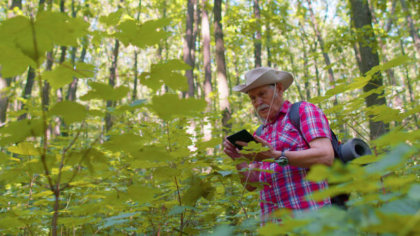 istock Active elderly senior grandfather adventurer exploring forest trees, plants with her digital tablet 1335614489