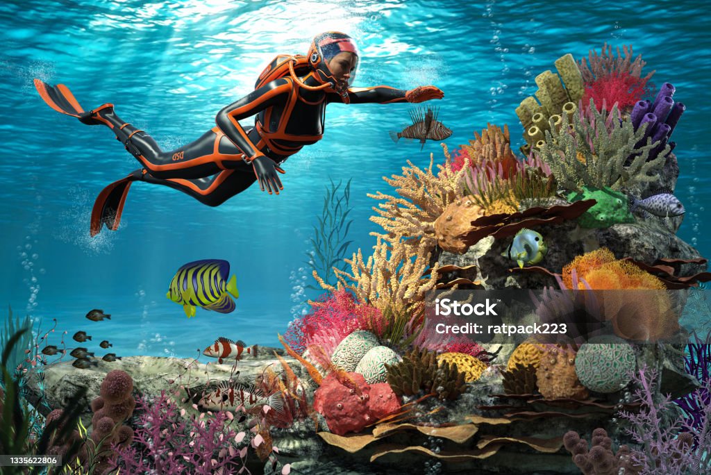 One female scuba diver viewing large multi colored coral reef Underwater view of one female scuba diver viewing large multi colored coral reef and  of the great barrier reef, Australia, 3d render. Great Barrier Reef Stock Photo