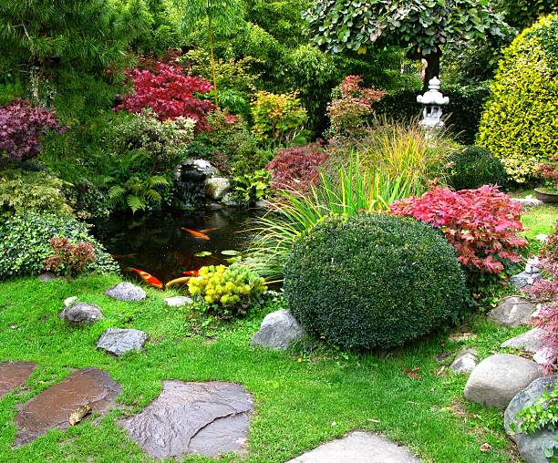 jardim japonês - japanese culture landscape landscaped ornamental garden imagens e fotografias de stock
