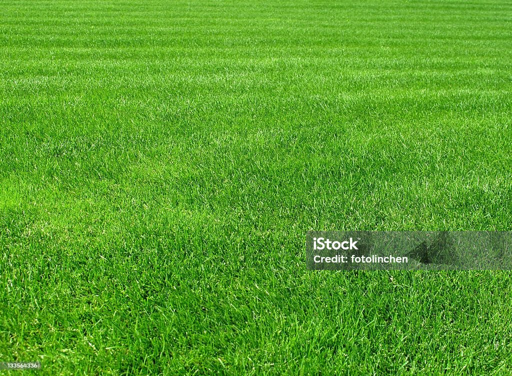 Gras - Lizenzfrei Abstrakter Bildhintergrund Stock-Foto