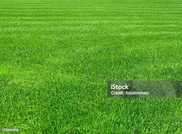 Grass Stock Photo - Download Image Now - Abstract Backgrounds, Directly Above, Grass