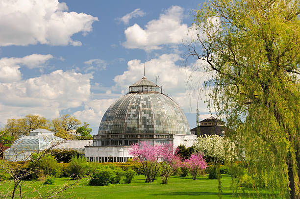 Belle Isle Conservatory The historic and beautiful Belle Isle Conservatory in Detroit, Michigan.. detroit michigan stock pictures, royalty-free photos & images