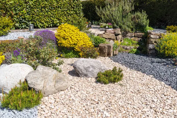 Photo of beautifully landscaped ornamental garden with ornamental gravel and flowers