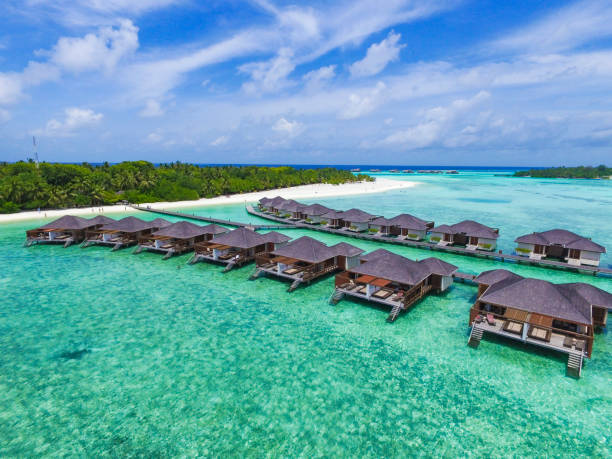 istock Nice white sand beach in Maldives India ocean 1335658232