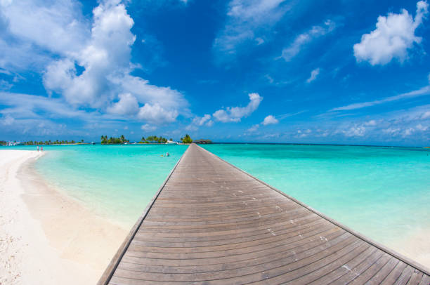 istock Nice white sand beach in Maldives India ocean 1335658261
