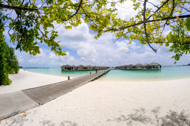 istock Nice white sand beach in Maldives India ocean 1335658299