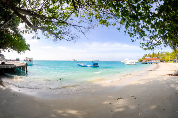 istock Nice white sand beach in Maldives India ocean 1335658319