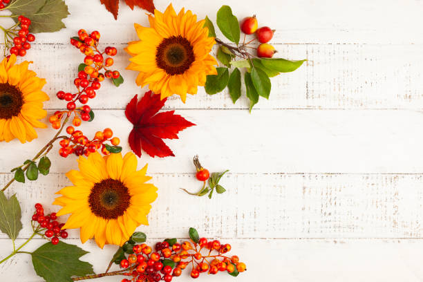 istock Concept of fall harvest or Thanksgiving day. 1335663945