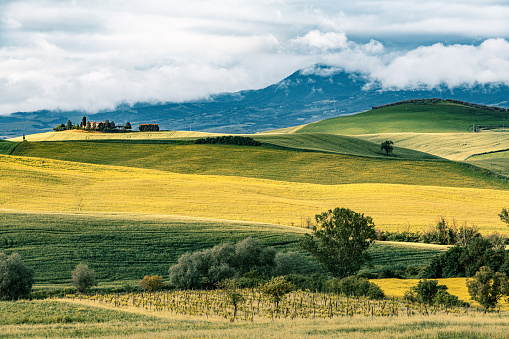 The rural landscape near Pienza in Tuscany. Italy