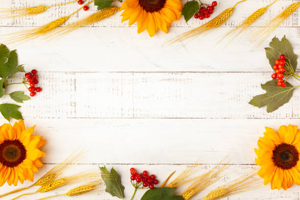 istock Concept of fall harvest or Thanksgiving day. 1335664005