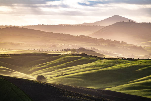 istock Tuscany Landscape At Sunset - Crete Senesi 1335664278