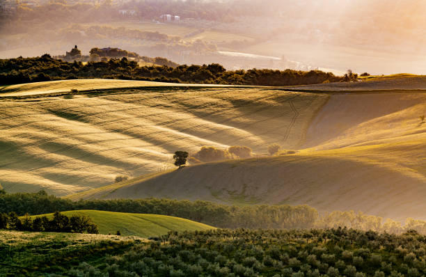 istock Tuscany Landscape At Sunset - Crete Senesi 1335665303