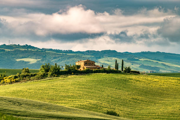 Tuscany Landscape At Sunset - Crete Senesi