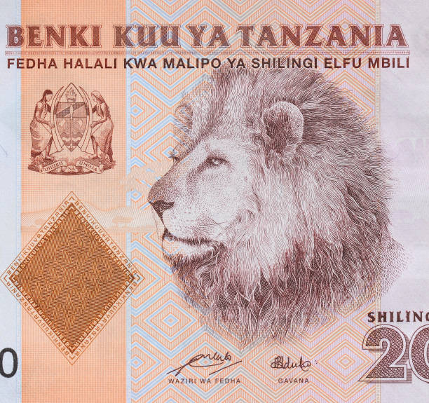 istock Lion head closeup on Tanzania banknote. 1335665469