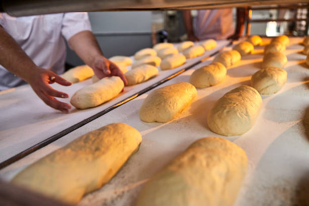 istock Bakers hands form dough for baking bread and put it into oven-tray at the manufacturing 1335668189