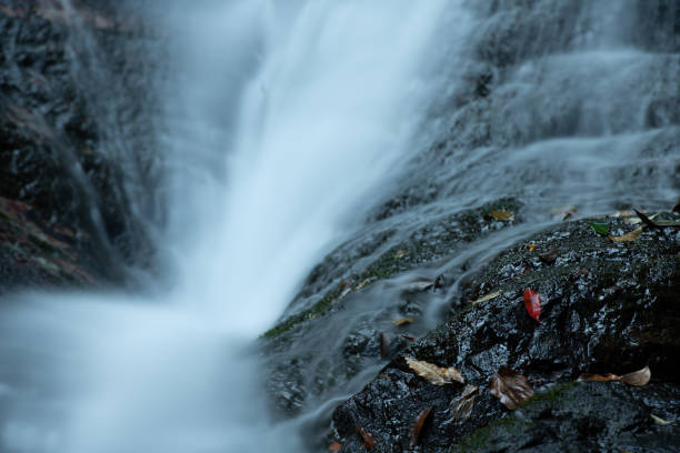 istock Beautiful autumn mountain stream and fallen leaves 1335668978