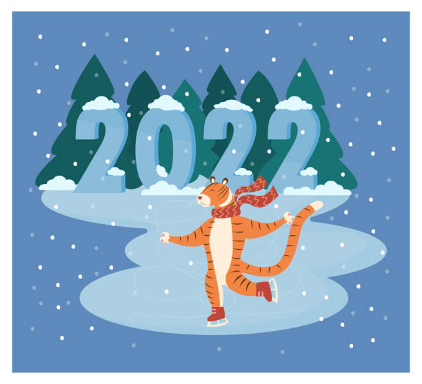 illustrazioni stock, clip art, cartoni animati e icone di tendenza di una simpatica tigre divertente in una sciarpa sta pattinando sotto la neve in inverno e sorridendo. - ice skating sports venue animal winter