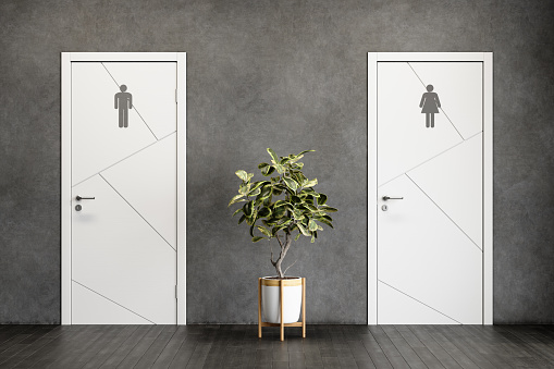 istock Public Restroom Entrance With Male And Female Symbols On White Doors . Potted Plant On Parquet Floor. 1335669405