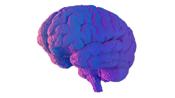 istock Futuristic pixel art on brain surface isolated on white background  , 3D rendering picture. 1335669531