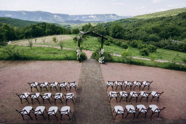 istock Wedding arch on rustuc style with white flowers in park with light bulbs. 1335671167